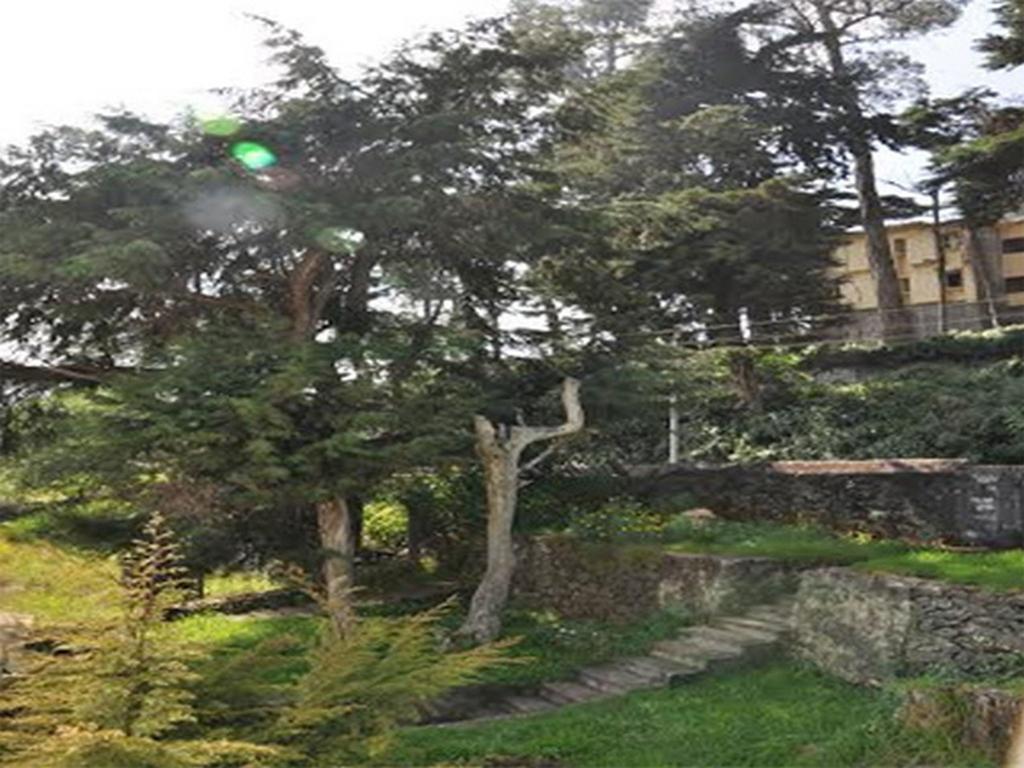 Hill Heaven Home Stay Kodaikanal Eksteriør bilde